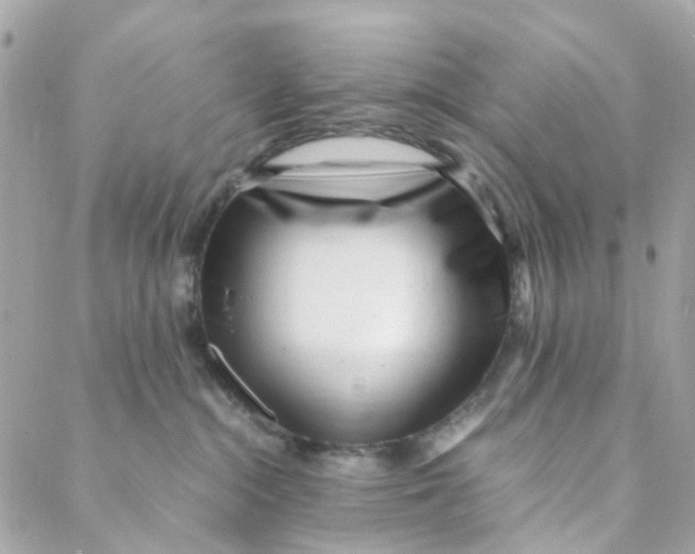 X0000088090284200706011611