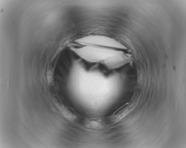 X0000088090285200706011611