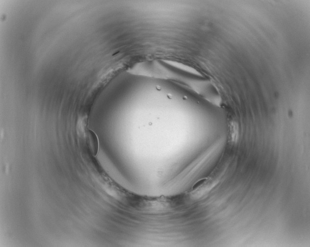 X0000088090286200706011611