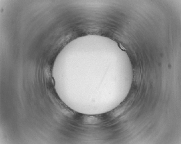 X0000088090287200706011611