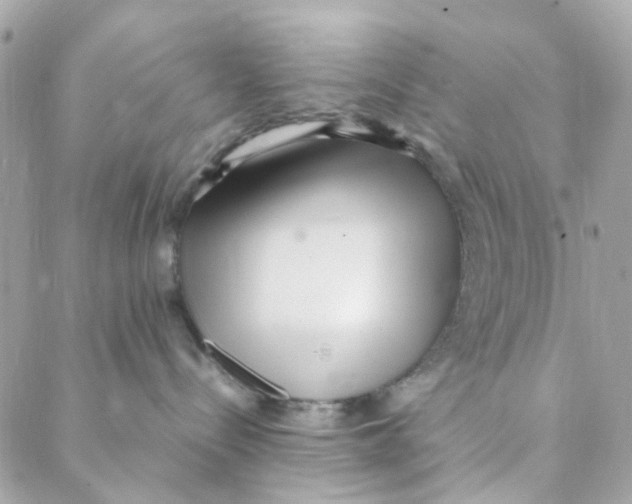 X0000088090288200706011611