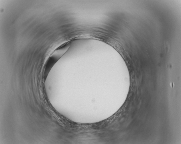 X0000088090289200706011611