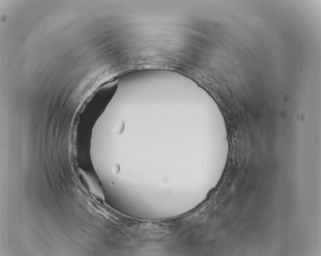 X0000088090290200706011611