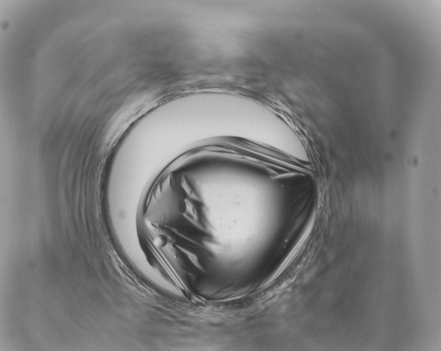 X0000088090293200706011611