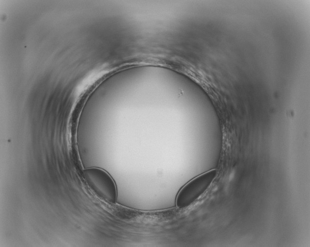 X0000088090294200706011611