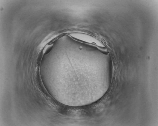 X0000088090295200706011611