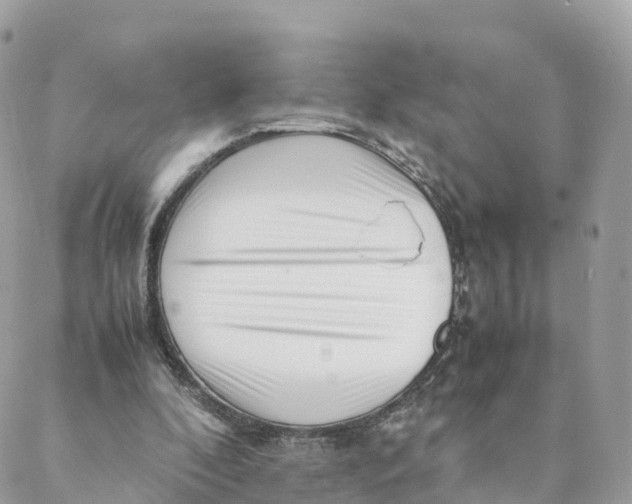 X0000088090296200706011611