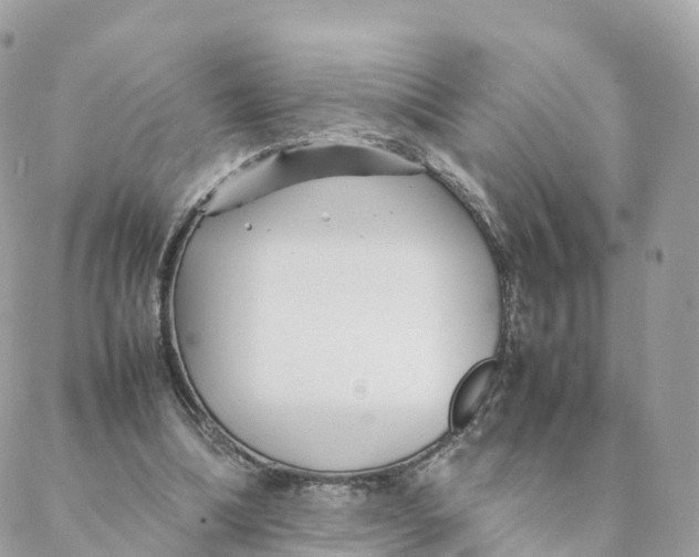 X0000088090298200706011611