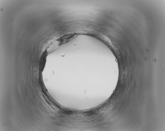 X0000088090299200706011610