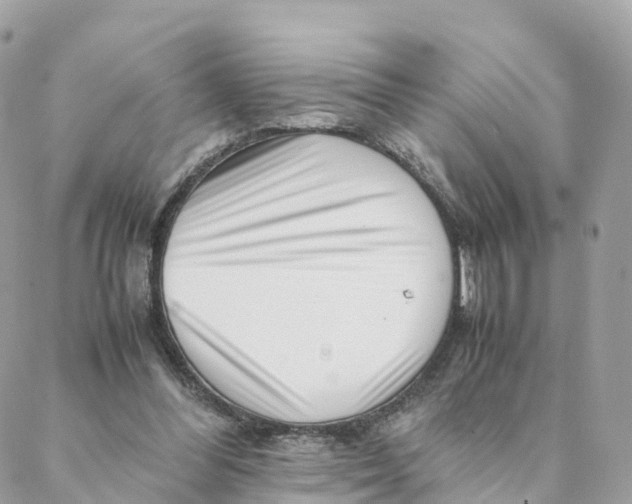 X0000088090300200706011610