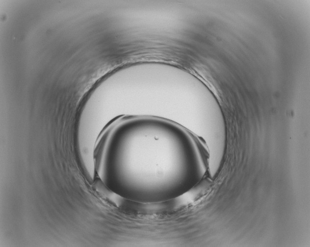 X0000088090301200706011610