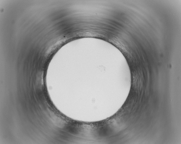 X0000088090302200706011610