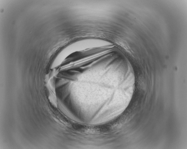 X0000088090303200706011610