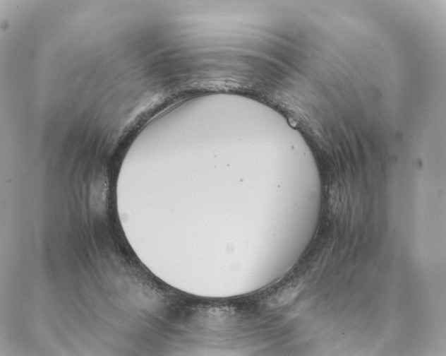 X0000088090304200706011610