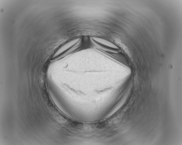 X0000088090305200706011610