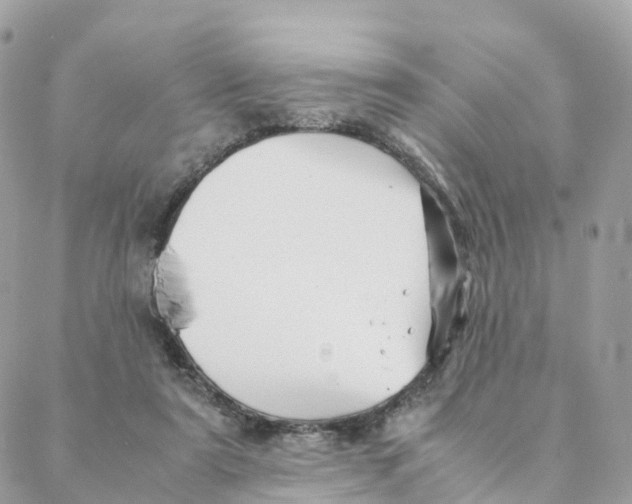 X0000088090307200706011610