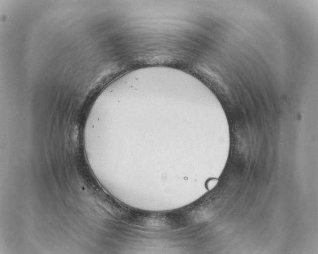 X0000088090308200706011610