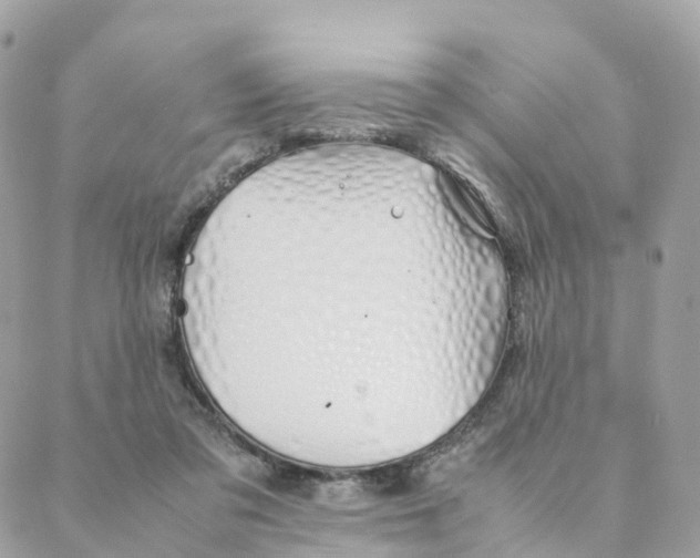 X0000088090309200706011610