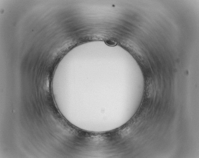 X0000088090310200706011610