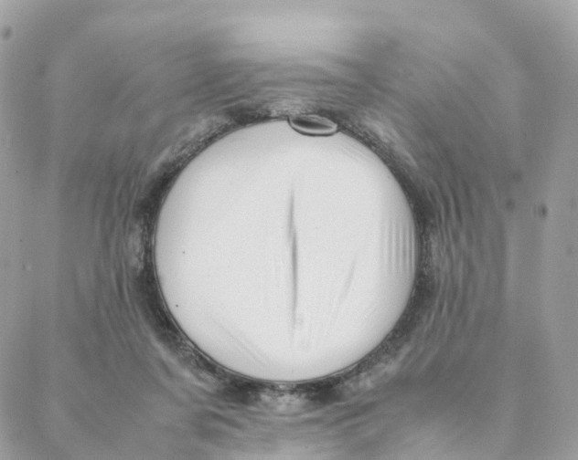 X0000088090311200706011610