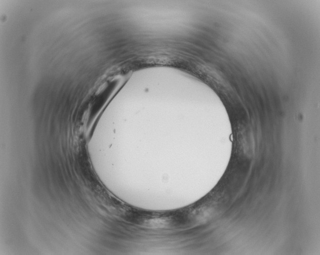 X0000088090312200706011610