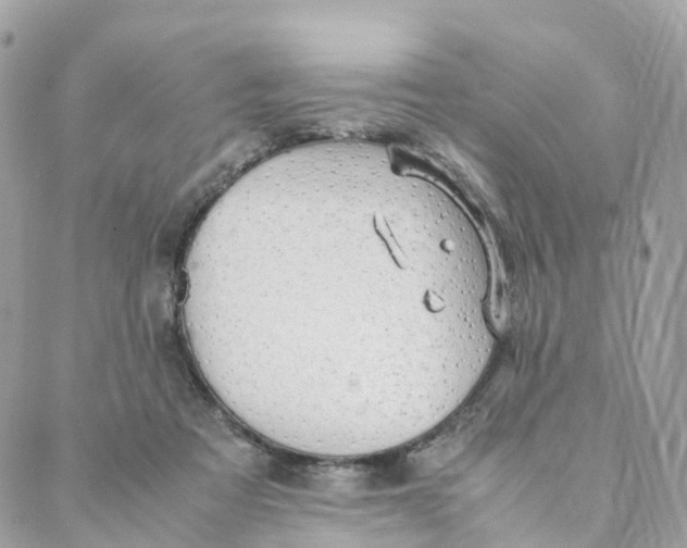 X0000088090313200706011610