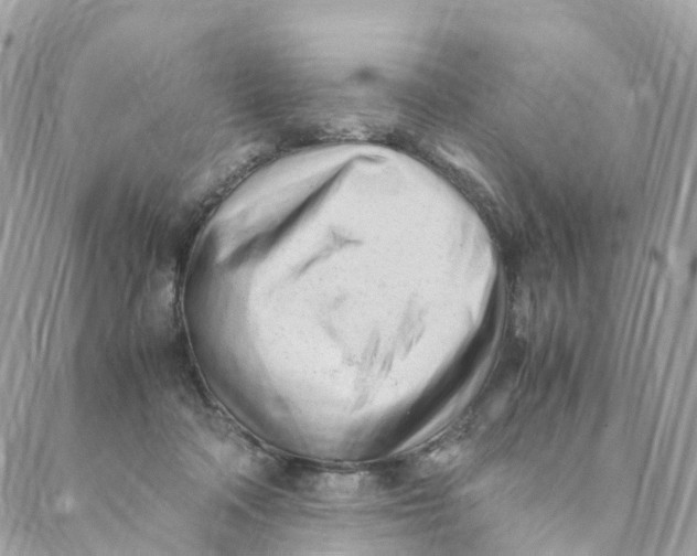 X0000088090314200706011610