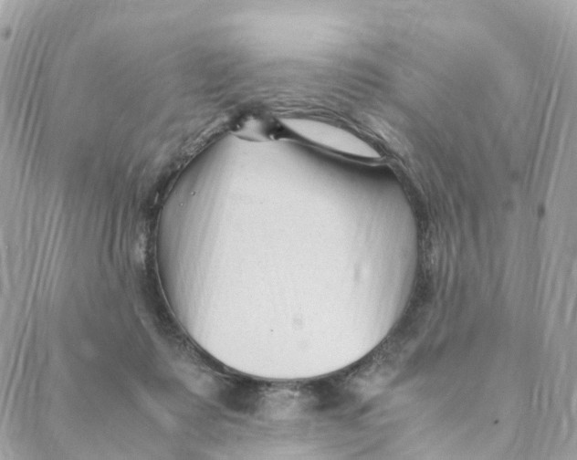 X0000088090315200706011610