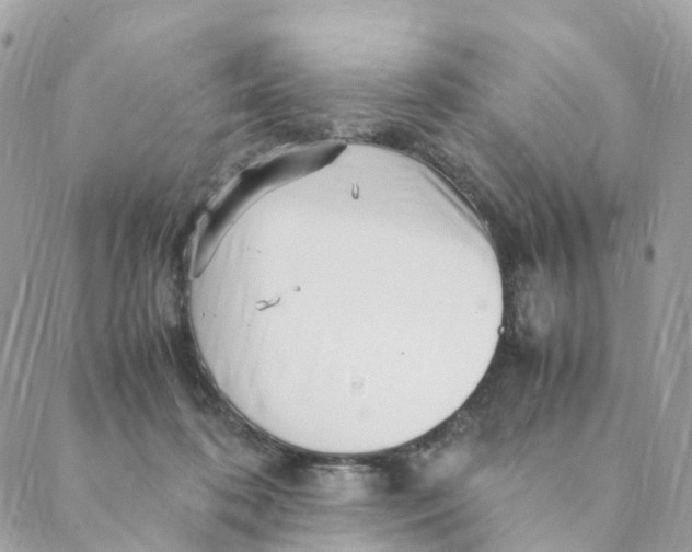 X0000088090316200706011610