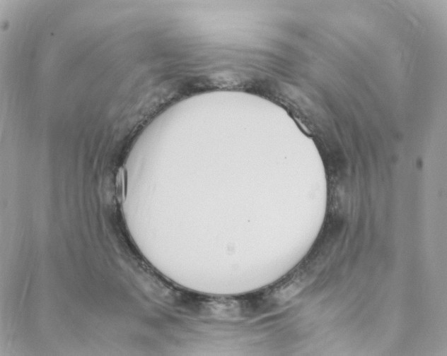 X0000088090317200706011610