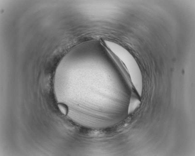 X0000088090319200706011610