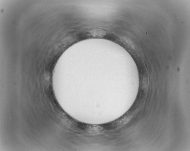 X0000088090321200706011610