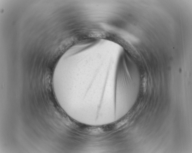 X0000088090322200706011610