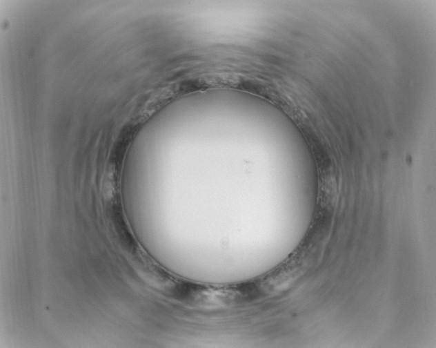 X0000088090323200706011610