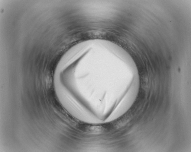 X0000088090324200706011610