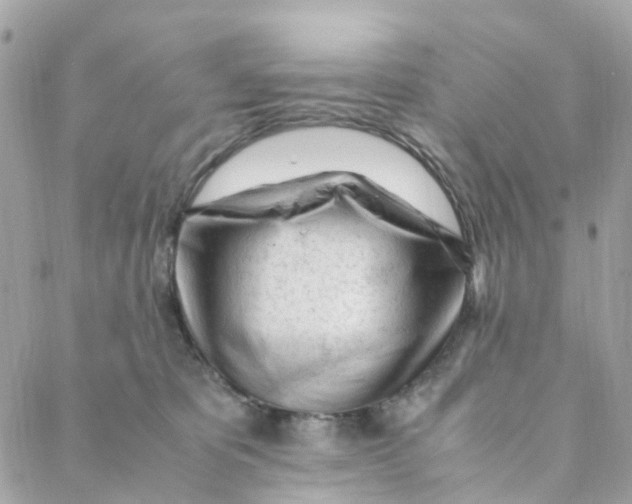 X0000088090325200706011610