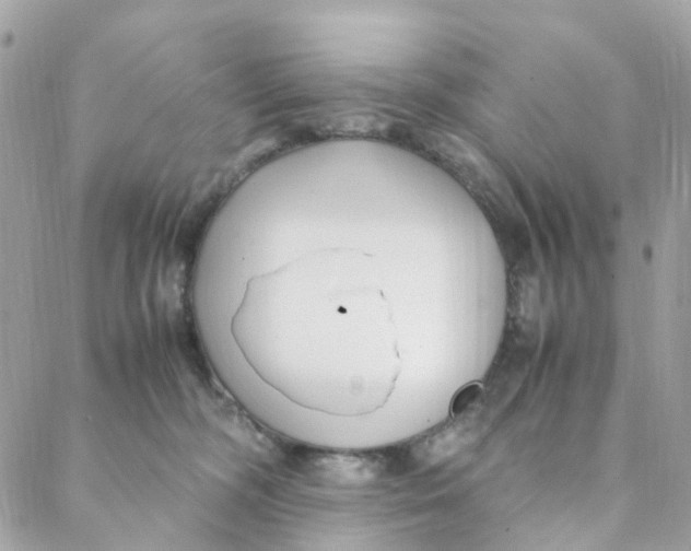 X0000088090326200706011610