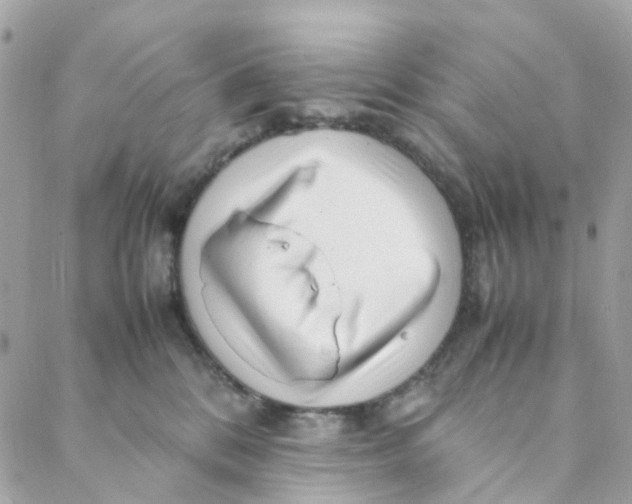 X0000088090328200706011610