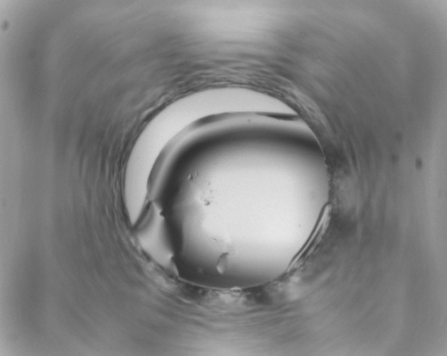 X0000088090329200706011610