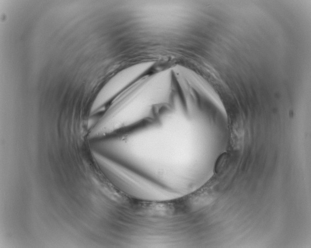 X0000088090330200706011610