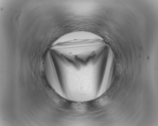 X0000088090331200706011610