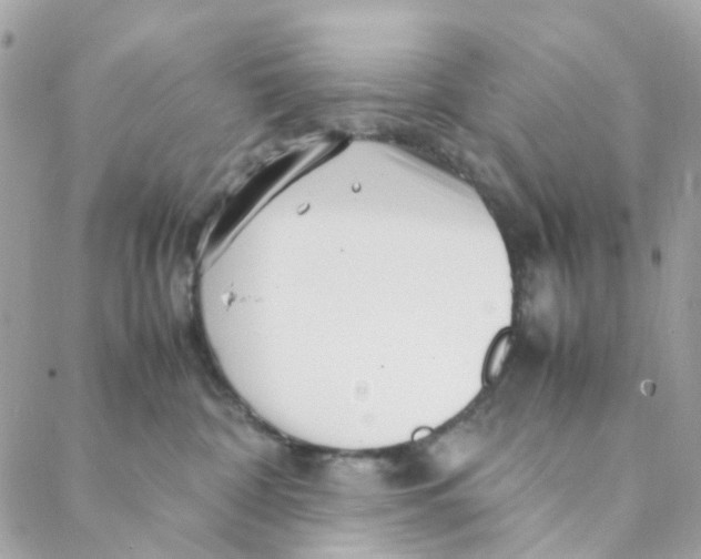 X0000088090332200706011610