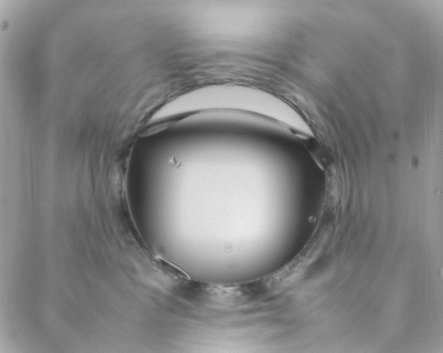 X0000088090333200706011610