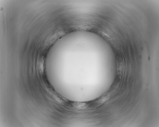 X0000088090334200706011610