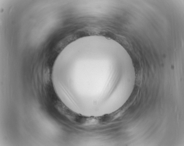 X0000088090335200706011610