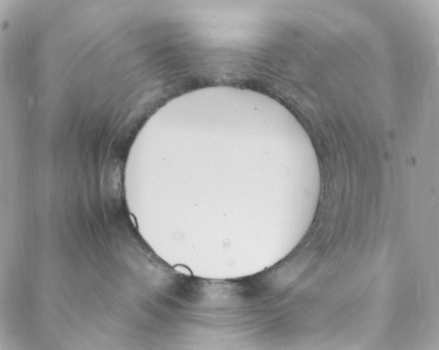 X0000088090336200706011610