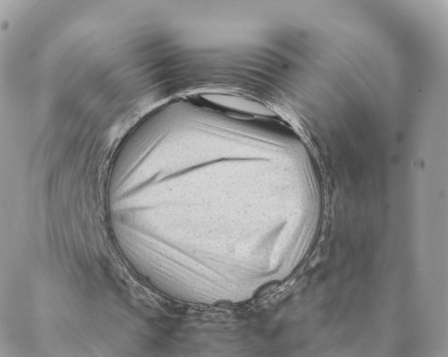 X0000088090337200706011609