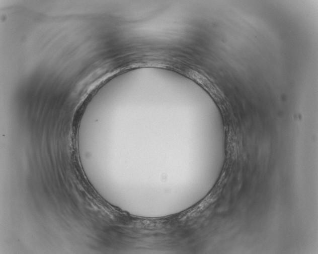 X0000088090338200706011609