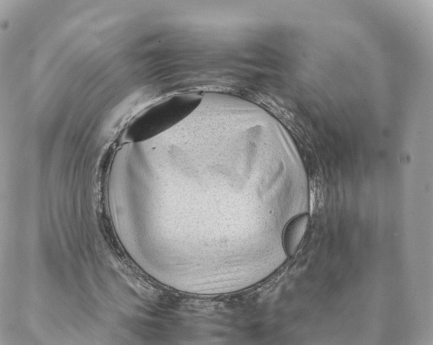 X0000088090339200706011609