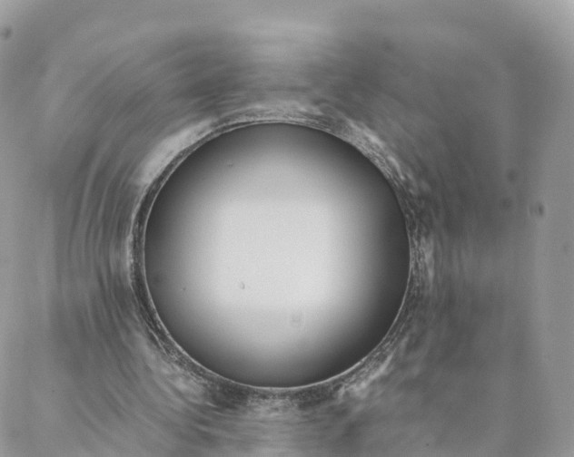 X0000088090340200706011609